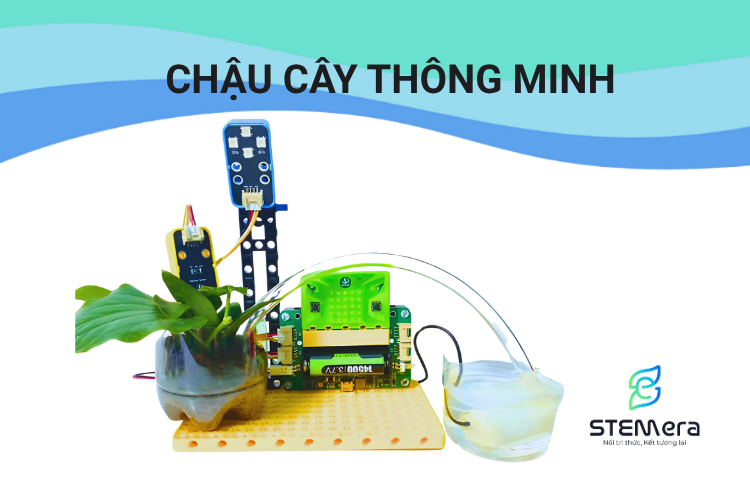 Mô hình chậu cây thông minh